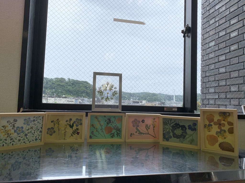 窓、押し花の入った額